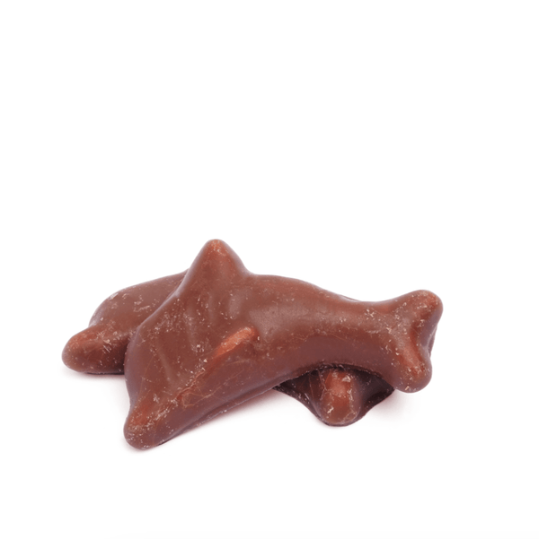 Choco Dolphin - candy4u
